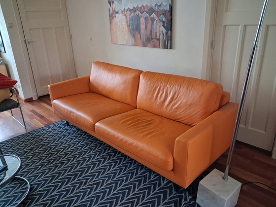 Image 1 of 3-Sitzer-Ledersofa