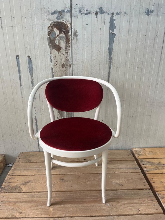 Image 1 of Sedie Thonet 209