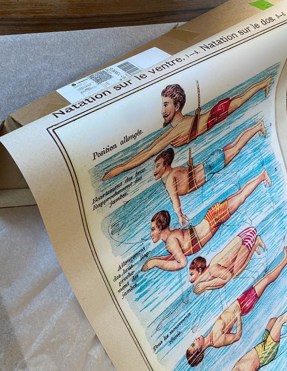 Image 1 of Onderricht in buik- en rugslagzwemmen - 1899 - Affiche