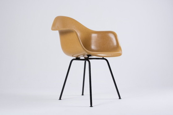 Image 1 of DAX Eames en fibre de verre – Light Ocre – Herman Miller / Vitra – circa 1965-1975