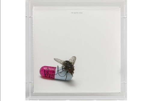 LP firmado por Damien Hirst y Red Hot Chili Peppers en caja de plexiglás