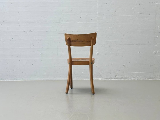 Image 1 of Set van 6 gebogen houten stoelen, gemaakt van massief hout, Thonet ZPM Radomsko, Polen, jaren 1950.