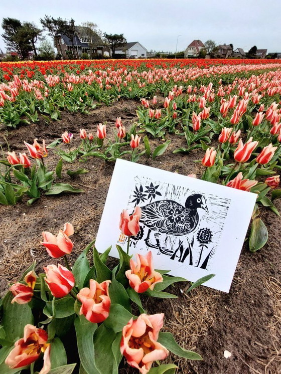 Image 1 of Coot Linocut Print: Handmade River Duck Art