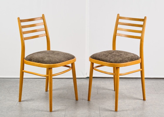 Set di 4 Sedie da pranzo, di TON, anni '60, Cecoslovacchia – Tessile, Legno (photo 11 of 20)