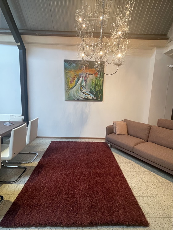 Image 1 of Brink & Campman Metal carpet show model