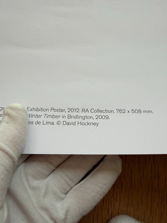 David Hockney (1937-2026), A Bigger Picture, RA, 2012, Exhibition Poster – Paper (photo 11 of 11)