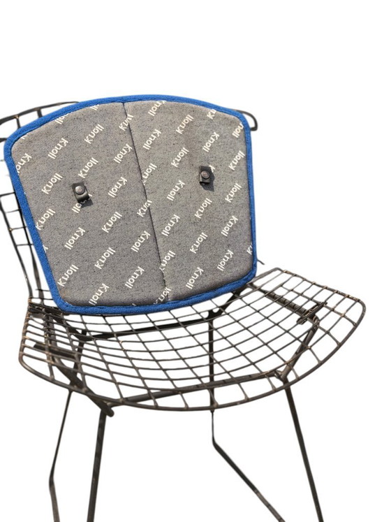 Image 1 of Ensemble authentique de 4 chaises Harry Bertoia Wire pour Knoll - Acier et coussins d'origine