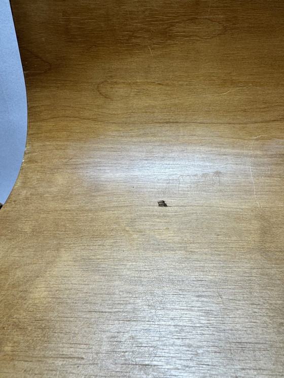 Image 1 of Set di 2 sedie vintage – The Future Dieverbrug (anni '50) – compensato curvato