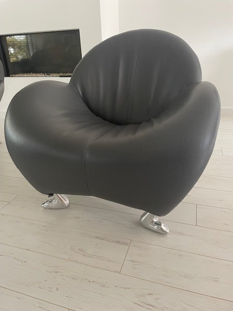 2x Leolux Fauteuils Papagano