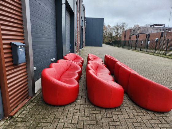 Image 1 of Ligne Roset - (6) pumpkin 3-zitsbank by Pierre Paulin