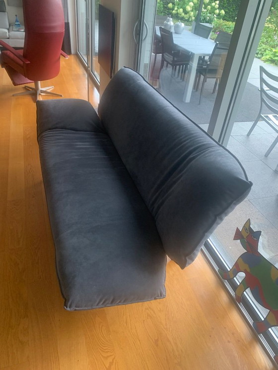 Leolux Tango Alcantara Gris comme neuf – Cadeaux, Textile, Wood (photo 10 of 10)
