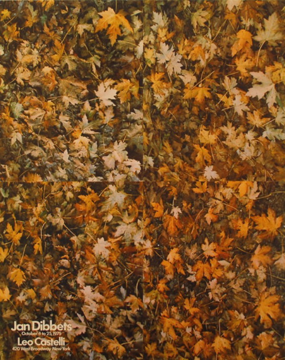 Image 1 of Wim Dibbets-----Mostra Leo Castelli 1973 New York