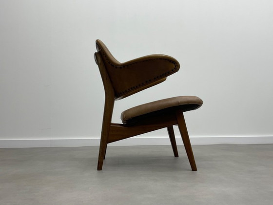 Image 1 of Louis van Teeffelen für das Wébé Penguin Restoration Project