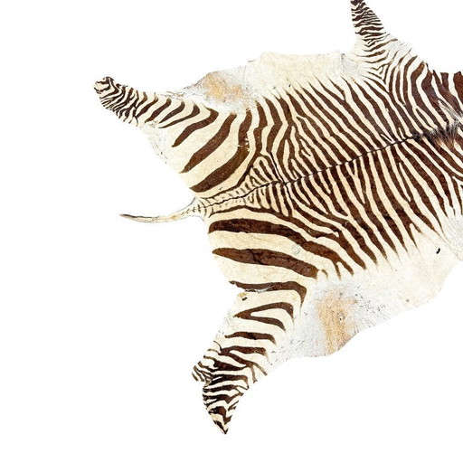 Alfombra vintage de piel de cebra – auténtica piel de animal africano – objeto decorativo para interiores