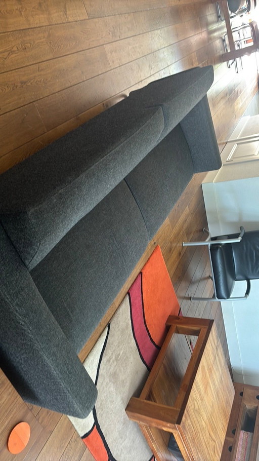 Artifort Mare Antracite Grey