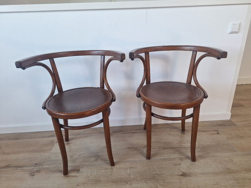 Chaises Thonet Cosmos