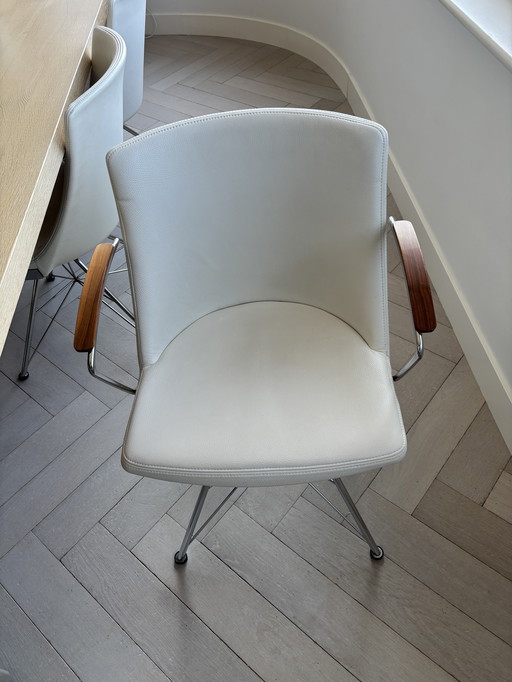 6 x Rho van Bert Plantagie