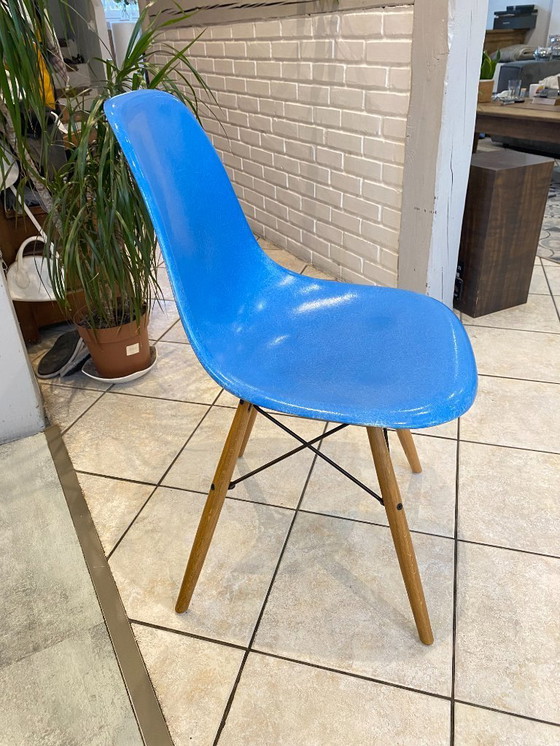 Image 1 of Sedia DSW, fibra blu turchese, Dowel oak, rovere chiaro, Eames Herman Miller, vintage anni '50