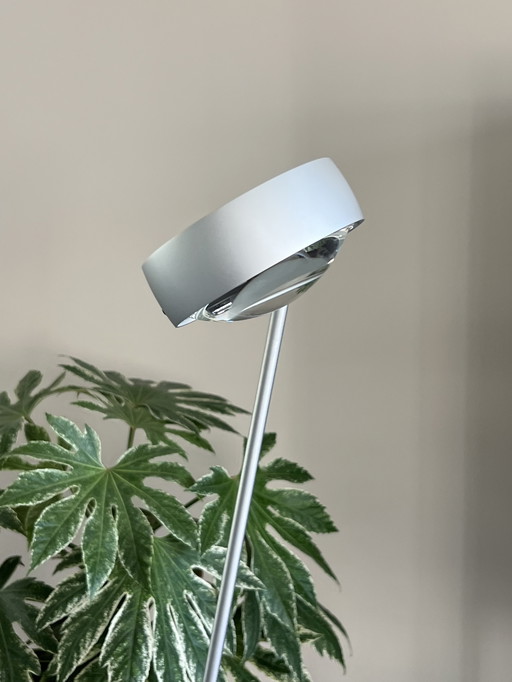 Occhio Sento Lettura NV 160