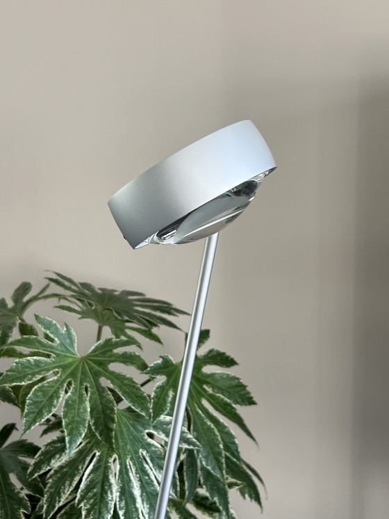 Image 1 of Occhio Sento Lettura NV 160