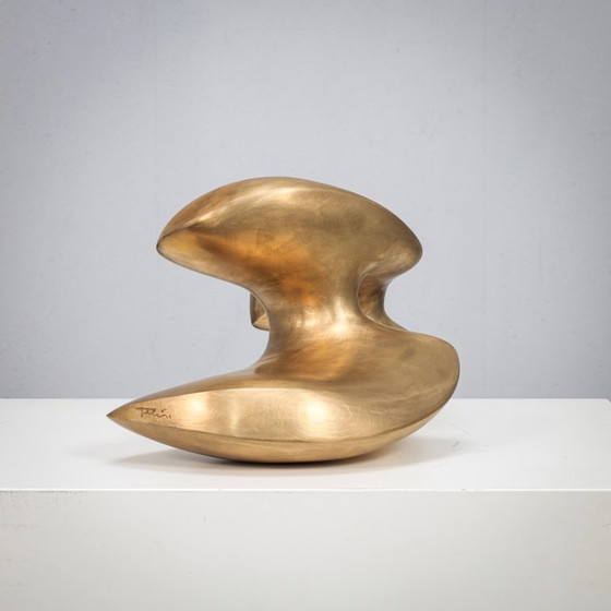 Image 1 of Scultura astratta in bronzo biomorfo di Felix van de Beek, Paesi Bassi, anni 2000