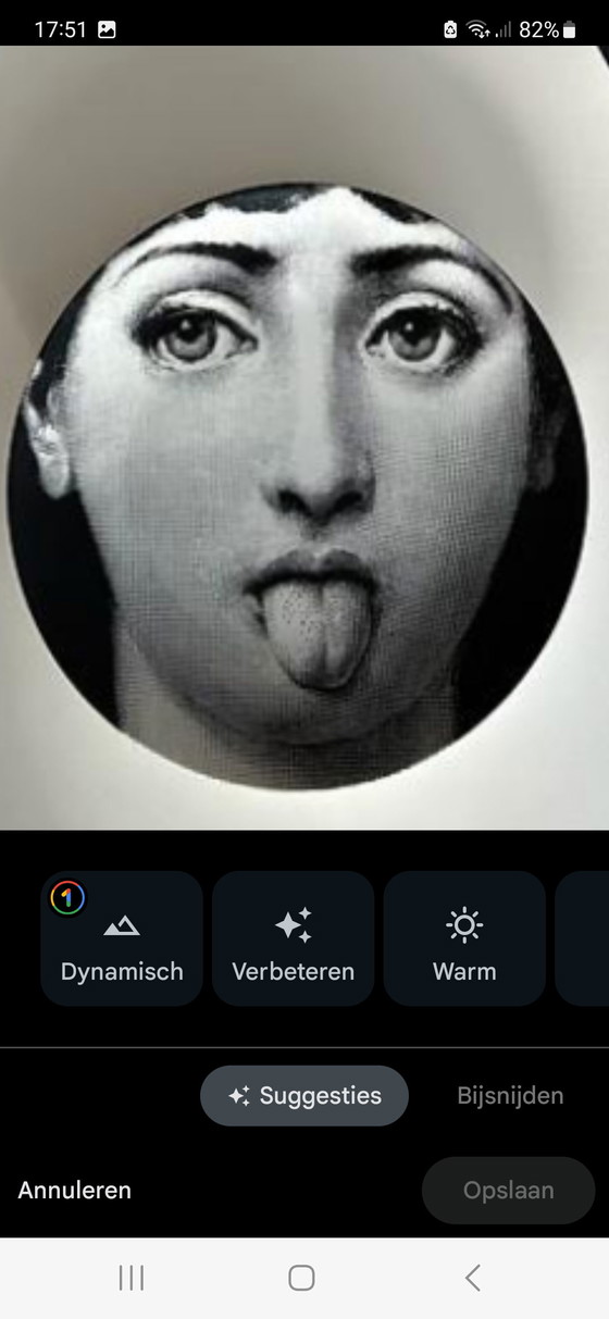 Image 1 of Fornasetti wandborden