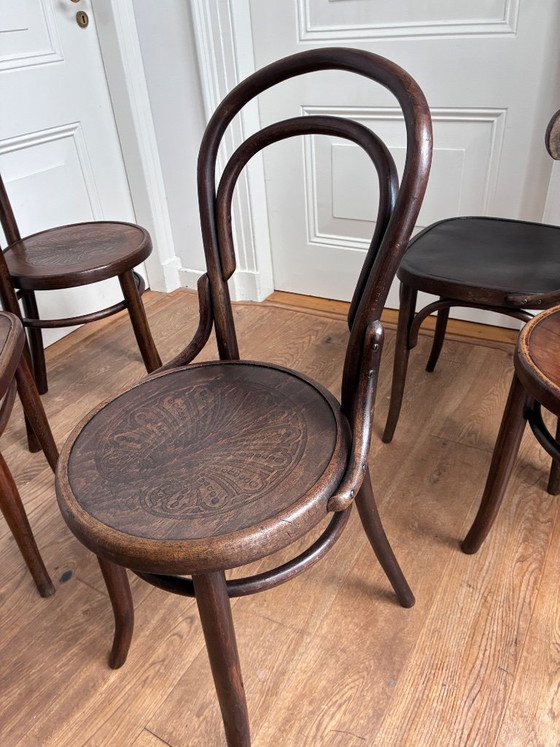 set of 6 mix-match Thonet style chairs – Dining chairs, Wood (photo 14 of 17)
