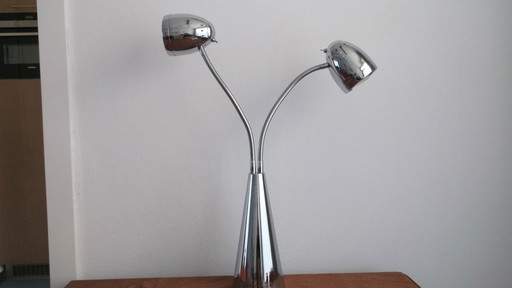Table lamp with flexible arms