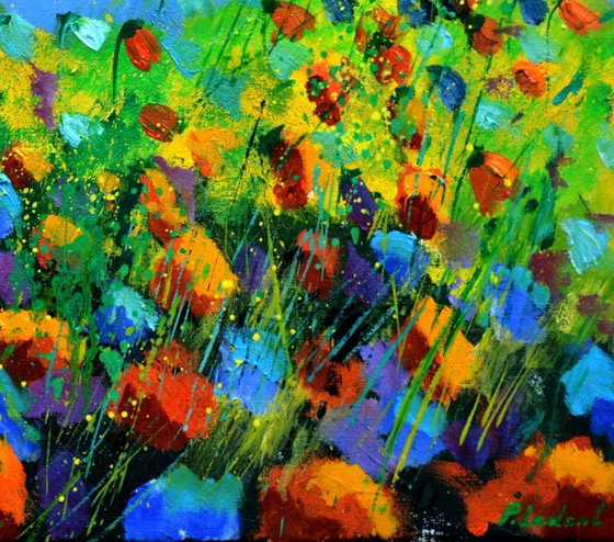 Image 1 of papaveri rossi