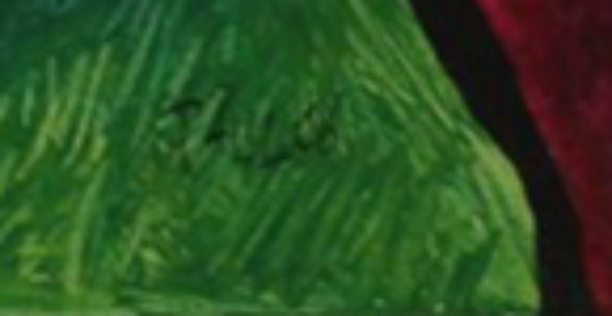 Image 1 of Paul Megens painting from 2006: 'behave old man, behave !'