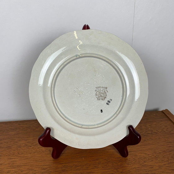 Image 1 of Set di 2 piatti da collezione Choisy le Roi, Ironstone, motivo floreale, fine XIX secolo