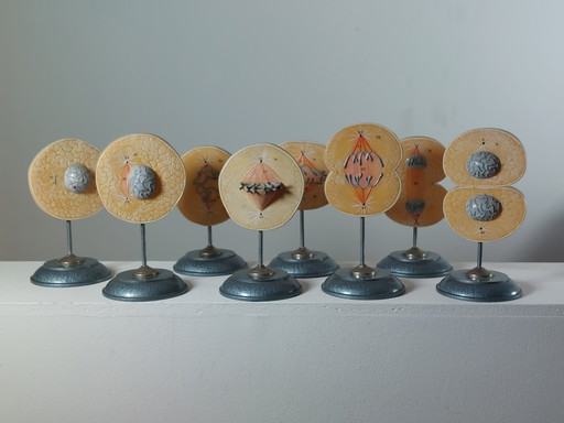 Ancien modèle pédagogique de division cellulaire et de mitose, outil pédagogique de biologie, métal et plastique.