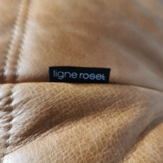 Image 1 of Ligne Roset Togo - monoposto color cognac