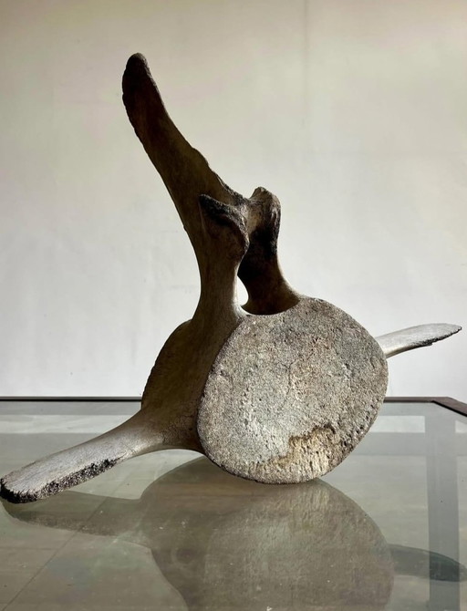 Eine Skulptur aus dem Meer