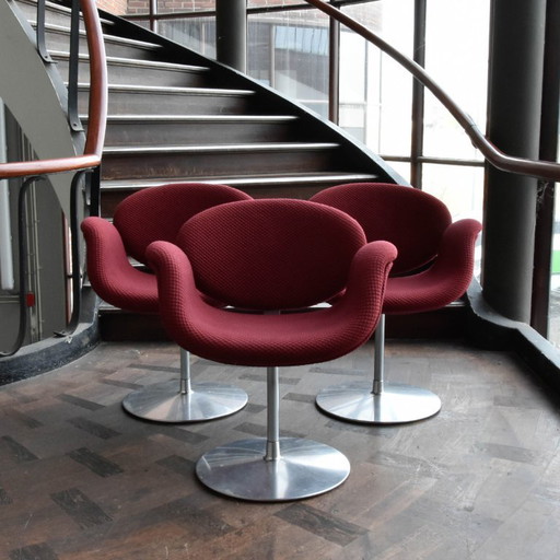 3x Artifort Little tulip stoelen