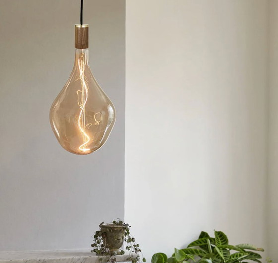 Image 1 of Hanglamp Tala Voronoi II Walnut 