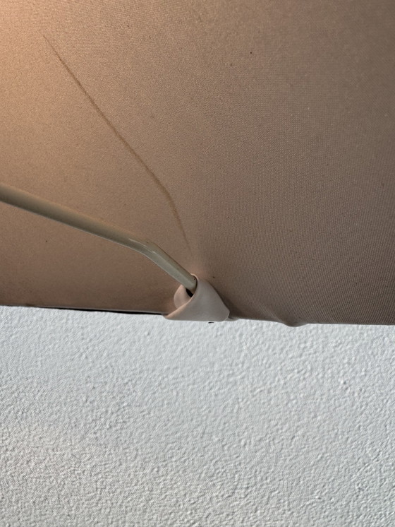 Image 1 of Turtle lamp, Le Dauphin, 1970s