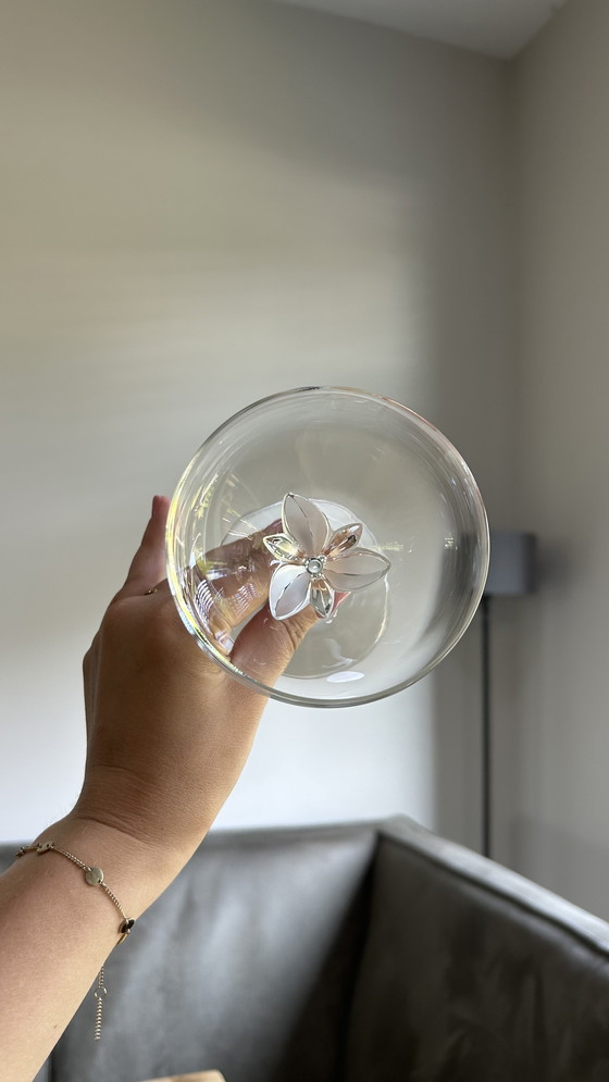 Image 1 of Beautiful Schott Zwiesel La Fleur crystal glass dinnerware