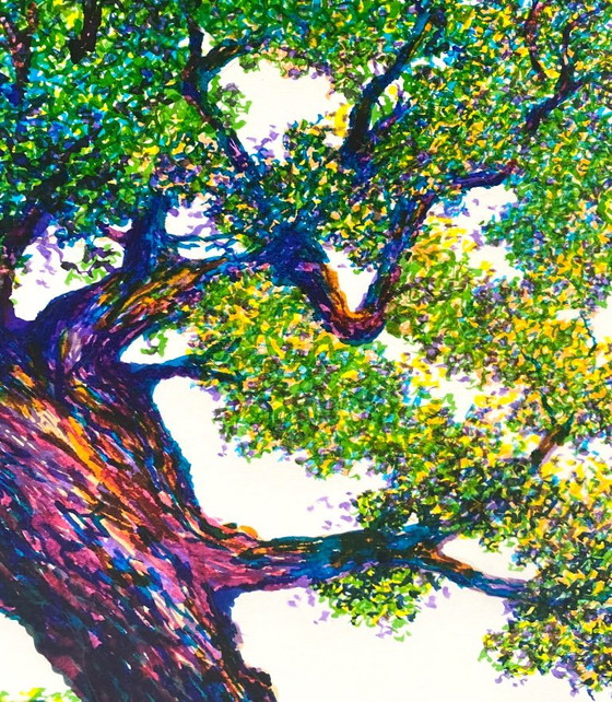 Grumpy Tree – Gemälde & Zeichnungen, Paper (photo 3 of 6)