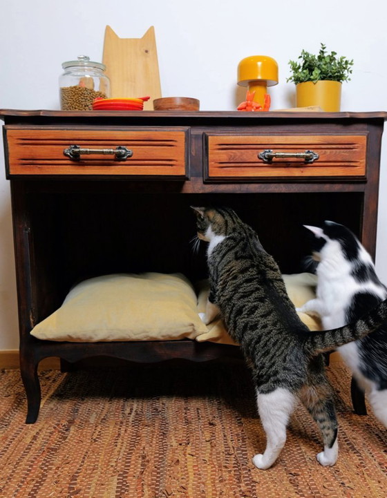 Image 1 of The Nautilus Pet Cabinet 