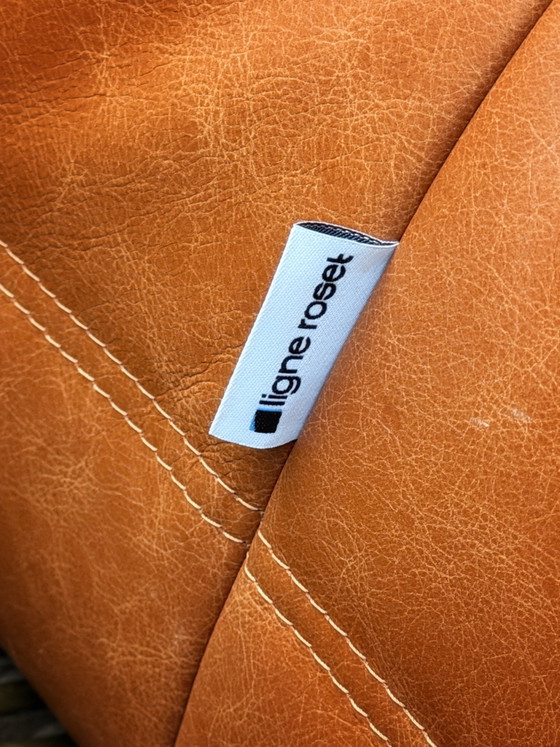 TOGO - Ligne Roset, Sofás, Cuero, Marrón (foto 5 de 6)