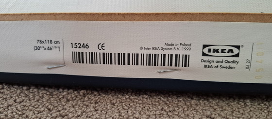 Image 1 of Dama Bianca