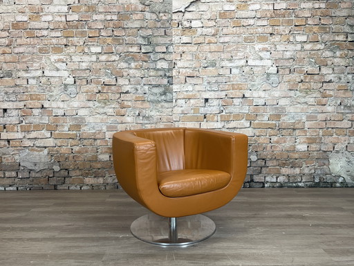B&B Italia Tulip Armchair