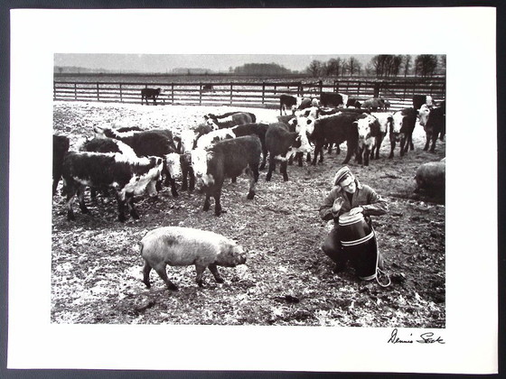 Image 1 of Portefeuille de James Dean par Dennis Stock