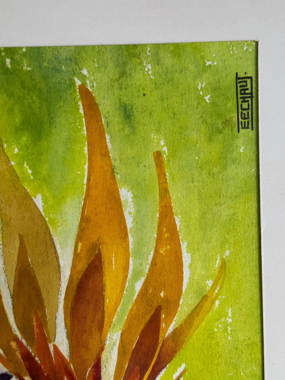 Image 1 of Eugène Eechaut (1928-2019) - Strelitzie - 1968. Signé