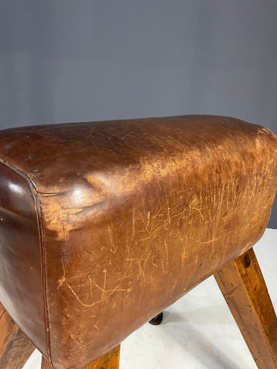 Image 1 of Gymnastik-Voltigierpferd, Tschechoslowakei, 1960er Jahre