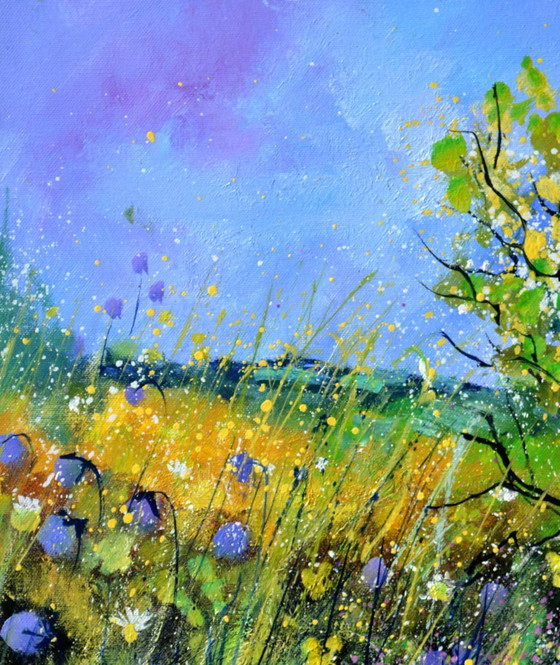 Image 1 of fiori estivi