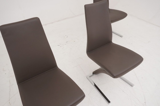 Image 1 of Rolf Benz 7800 Leder braun 4 Stühle Stuhl Stühle Freischwinger Klassiker