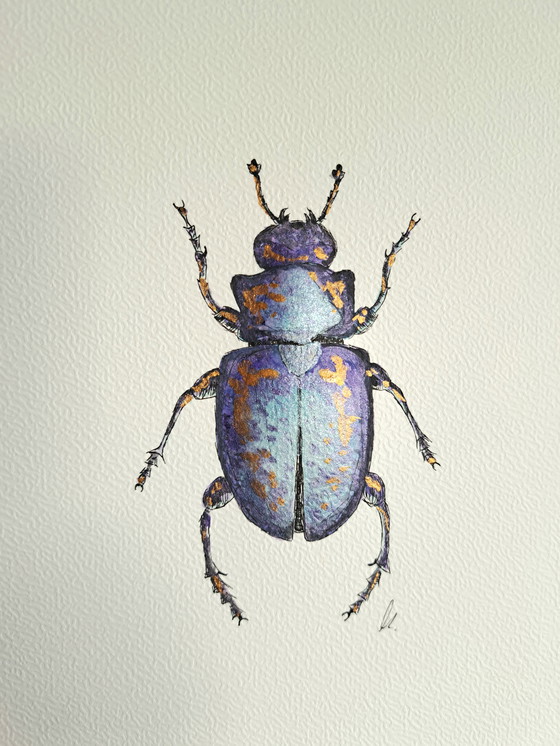 Image 1 of Watercolor painting Scarab blue gold | Gold-colored frame