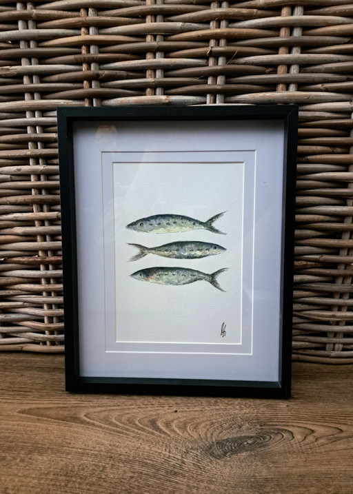 Origineel aquarel schilderij sardientjes inclusief lijst frame